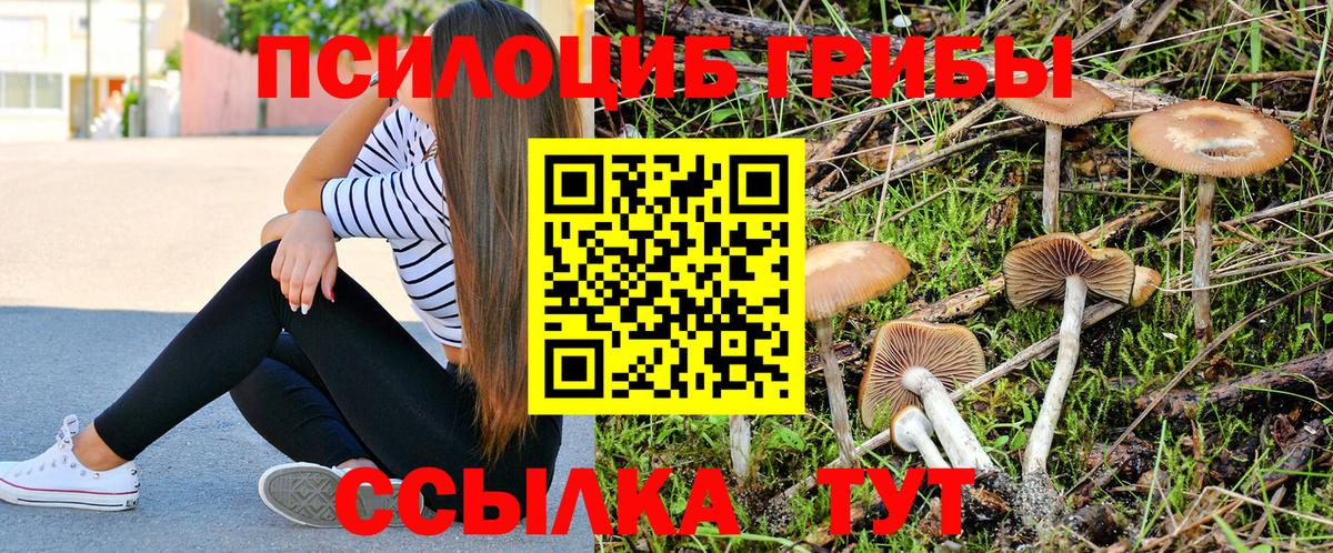Галлюциногенные грибы мицелий Набережные Челны