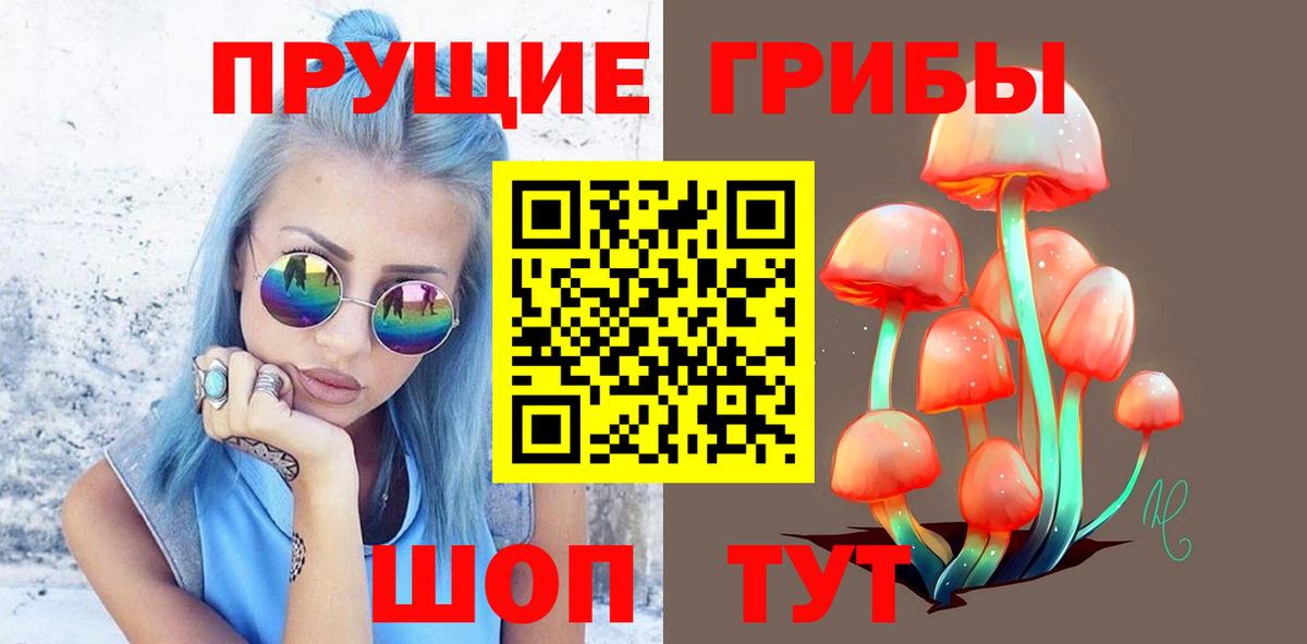 Набережные Челны  Галлюциногенные грибы Cubensis  Вход с VPN 